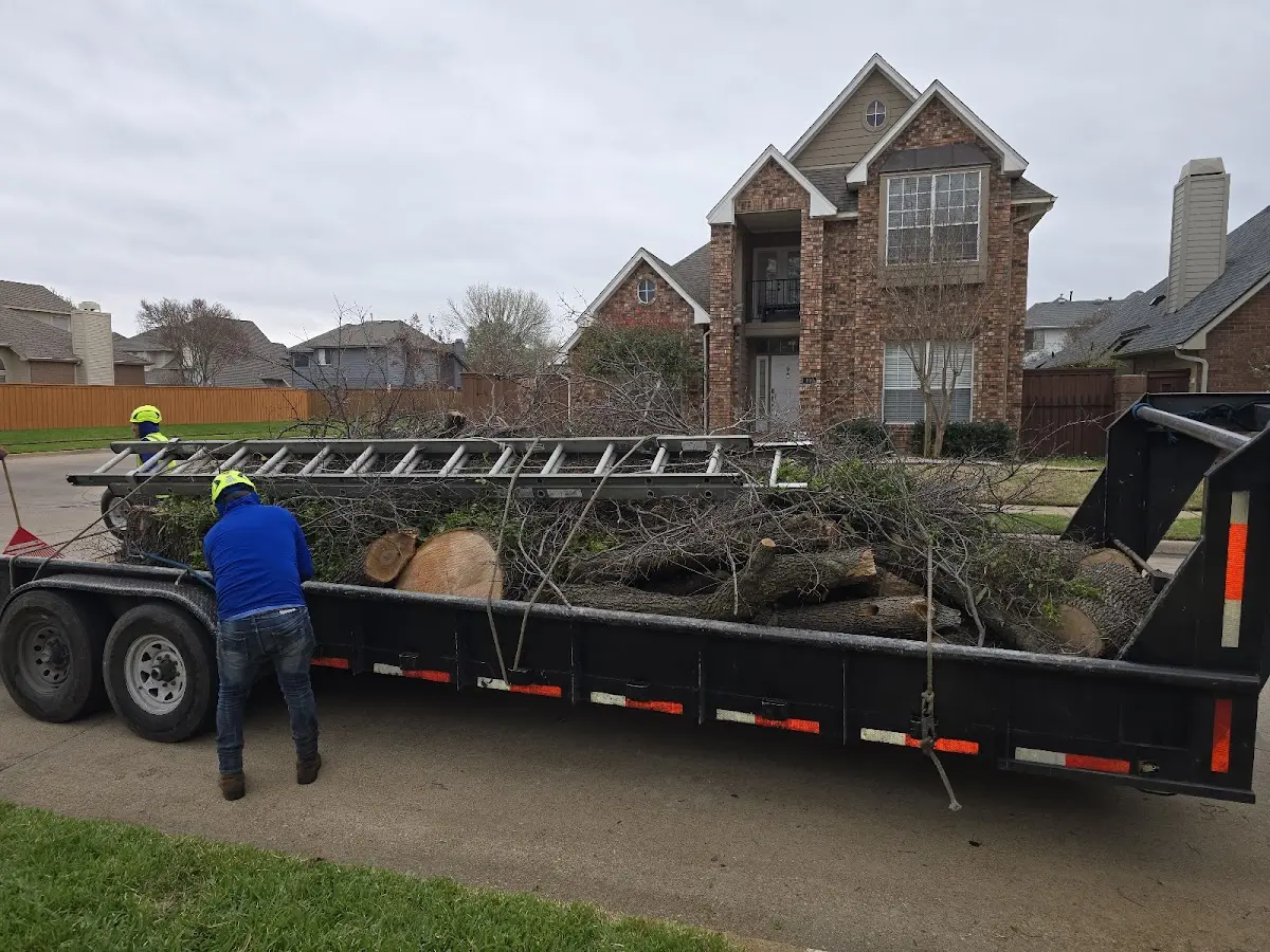 Expert Tree Pest Control with proper safety equipment in Riverdale